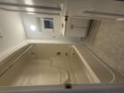 334 Brock shower room